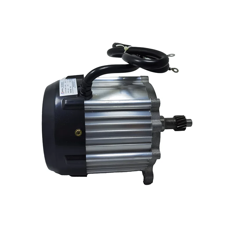 Factory direct wholesale  China Supplier High Efficiency 1000W DC Brushless Motor for electric Elec