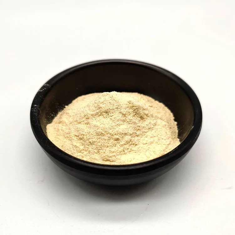 Soy Protein Isolate