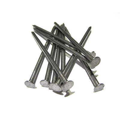 China manufacture Galvanized common wire nail steel concrete iron nail with low price