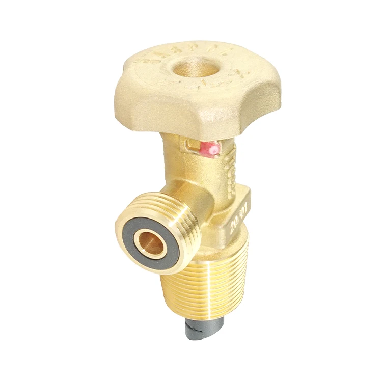 SiAN Liquefied Petroleum Gas V12-002-(25E) 11# Valve LPG F Type Gas Cylinder Valves Brass Propane Cooking Tank Valves
