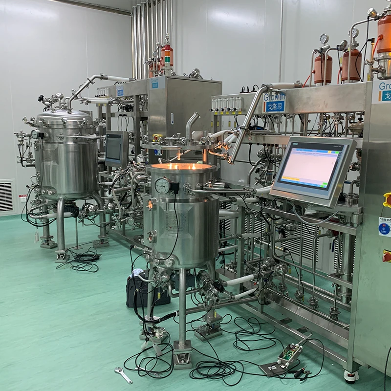 20L 100L 400L Stainless Steel Biological Life Sciences Cell Culture Vaccine Production Equipment Fibra Disk Bioreactor for Lab