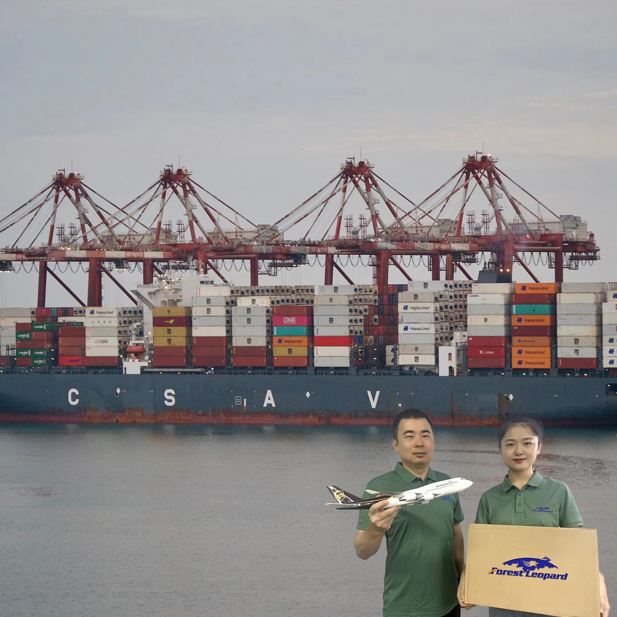Воздушные морские перевозки от двери до ИБП/DHL/FEDEX/TNT судоходный агент из Китая в Америку/Африку/Азию/Европу
