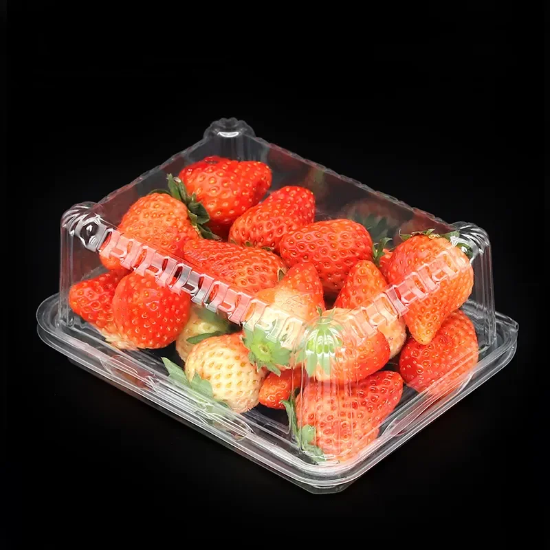 With Lid Disposable plastic bowl Box clear salad Trays Disposable Clear Plastic Clamshell Food Container