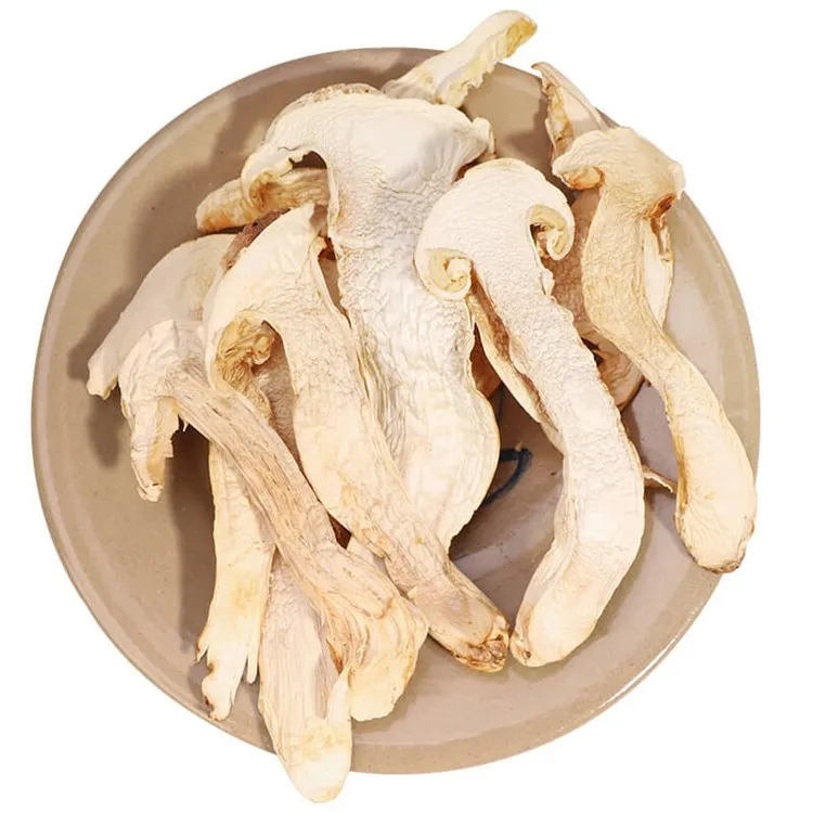 
Fresh Sliced Price Brown Fresh Mushroom Tricholoma Funghi Bulk Wild Organic Dried Matsutake 