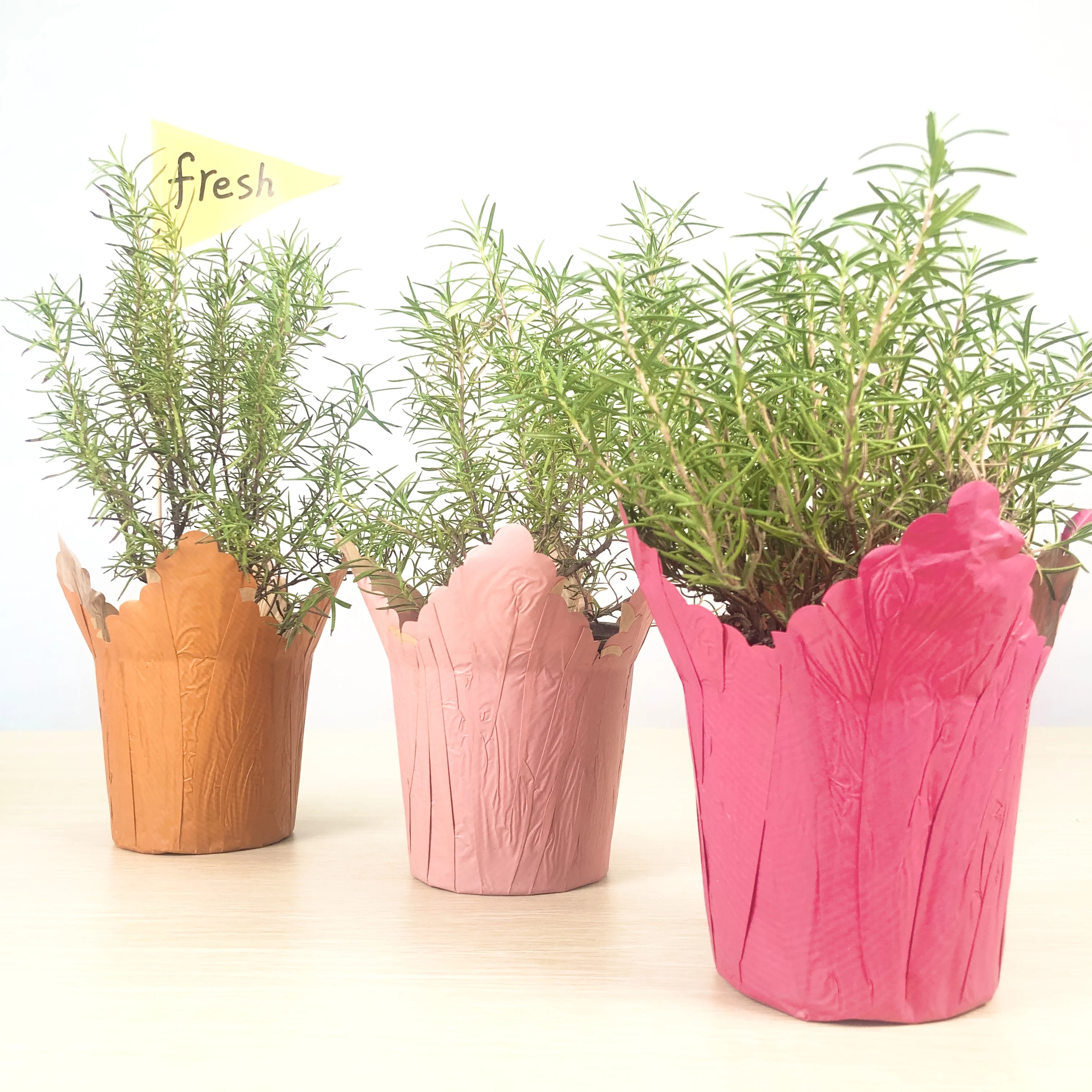 Home Decoration Potted Cover Holder Two Side Print  Kraft Paper Waterproof  Plant Pot Cover