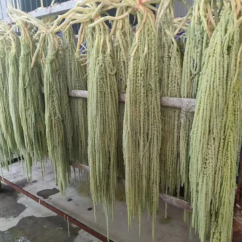 Fantastic New Product Hanging Rice, Natural Dried Flower Tail, Amaranth, Home and Homestay Decoration Photography Prop