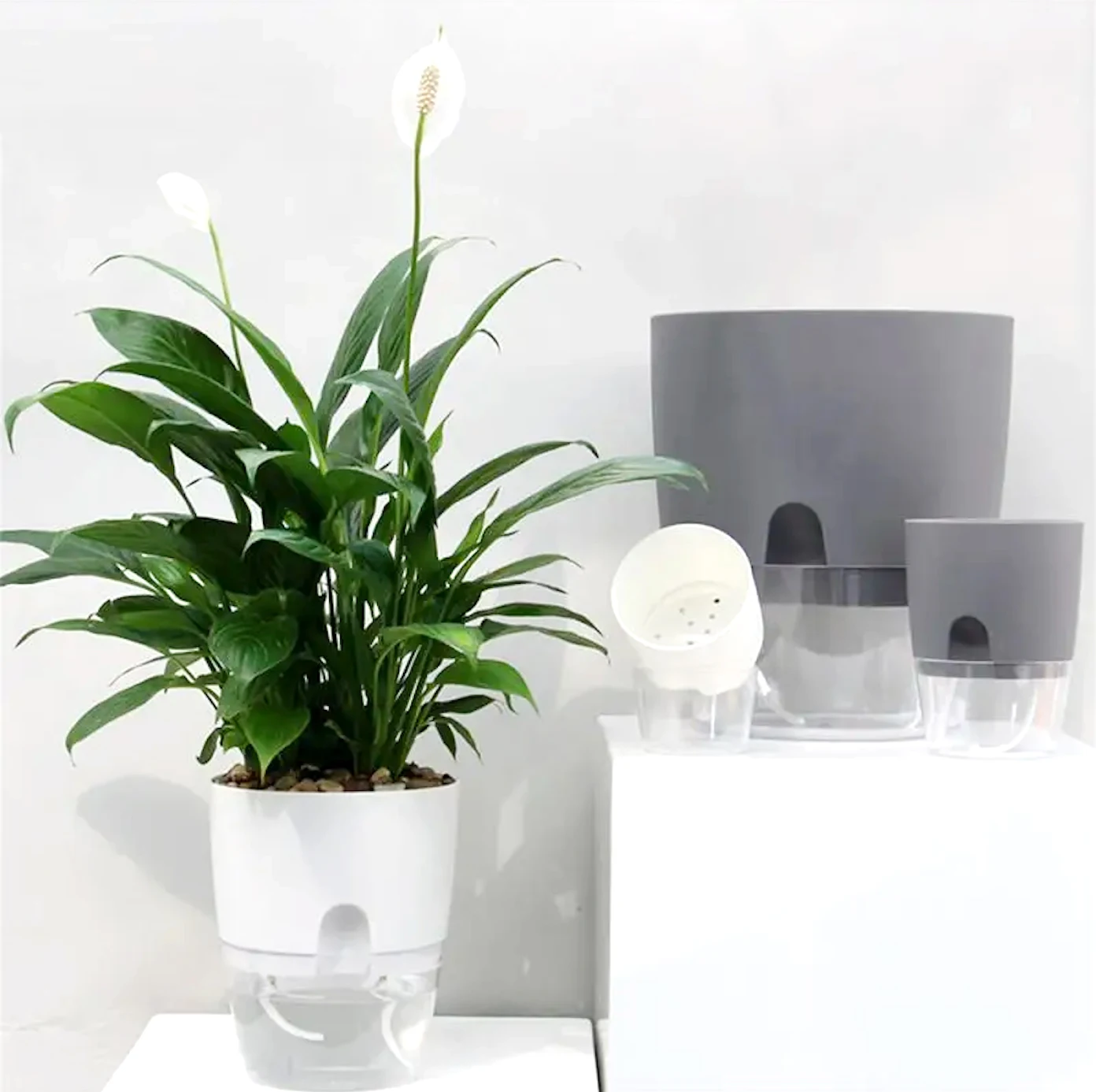 Transparent Double Layer Plastic Flower Pot Hydroponic Home Vase Self Watering Flowerpot Cotton Rope Watering Small Plant Pot