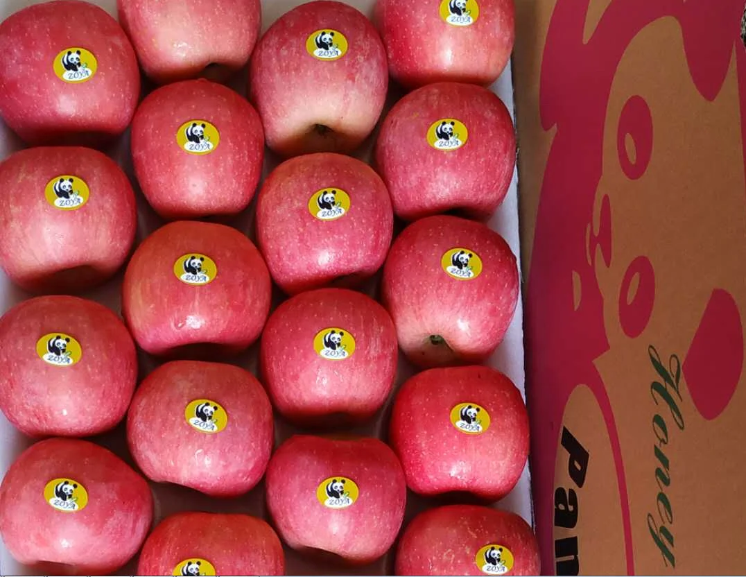 
Наименование всех фруктов fuji apple 