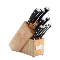 10 Pieces Stainless Steel Kitchen Knife Set with Block Wooden Chef Slicer Santoku Bread Utility Tomato Paring Steak Knife