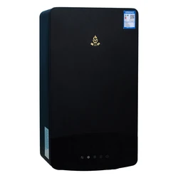 China 24 Kw 28 Kw 32 Kw  Wall Mounted 220v Instant Gas Boiler Hot Water Heating Water Heater Condensing Gas Boiler