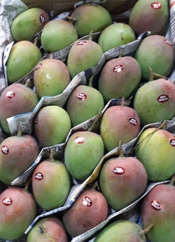 Манго Свежий манго