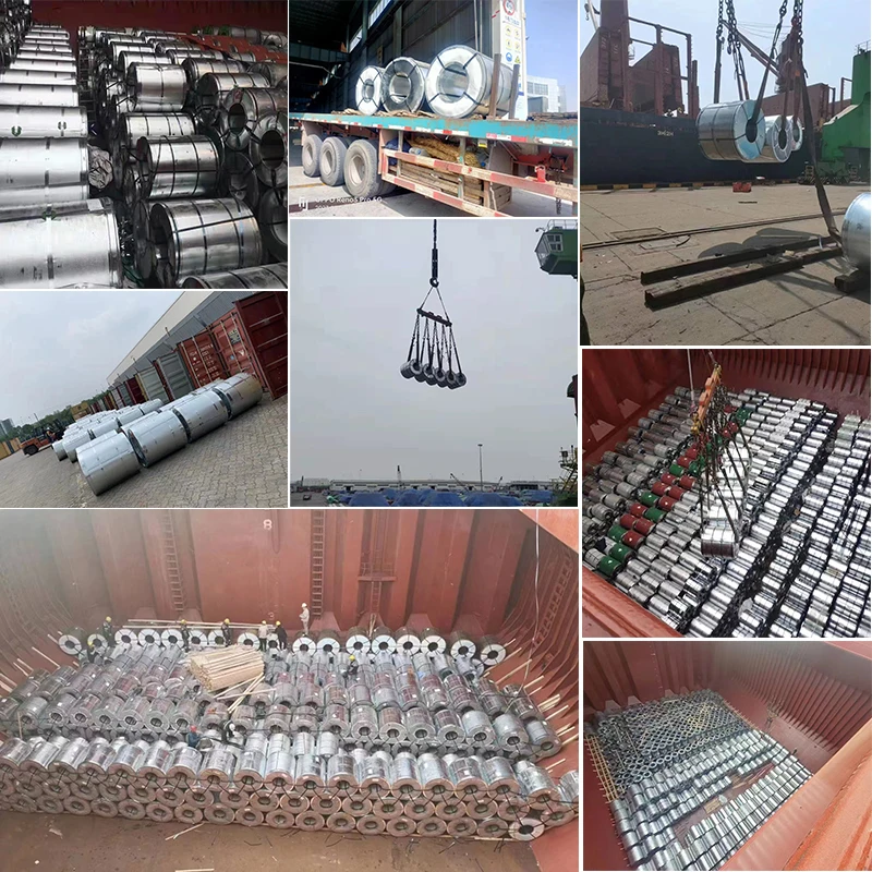 Best quality Dx51d Z275 S355 6x8 Hot Dipped 12 14 16 18 20 22 24 26 28 Gauge Galvanized Steel coil for Roofing Sheet