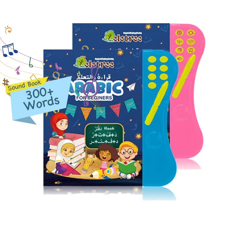 Setswana Arabic To English E Learn Books Sets Usb Downloadable Intelligence Blank Braille Sound Book For Children