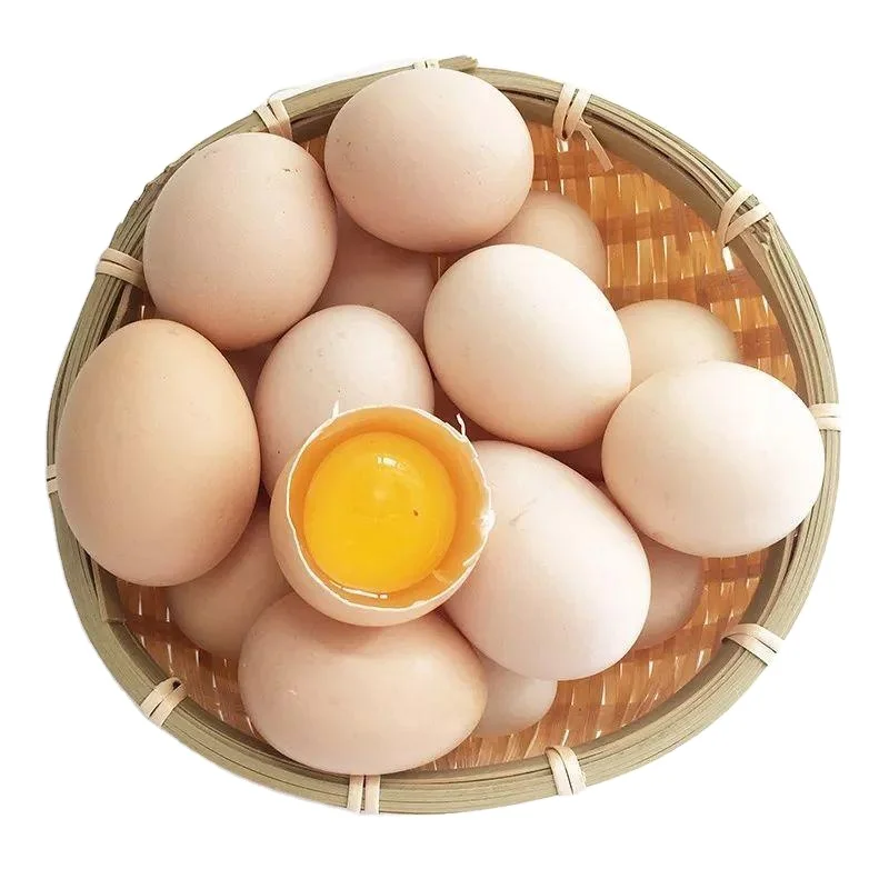 Enhancer Hen Use Egg Booster Mixture  poultry feed additive chicken layer feed
