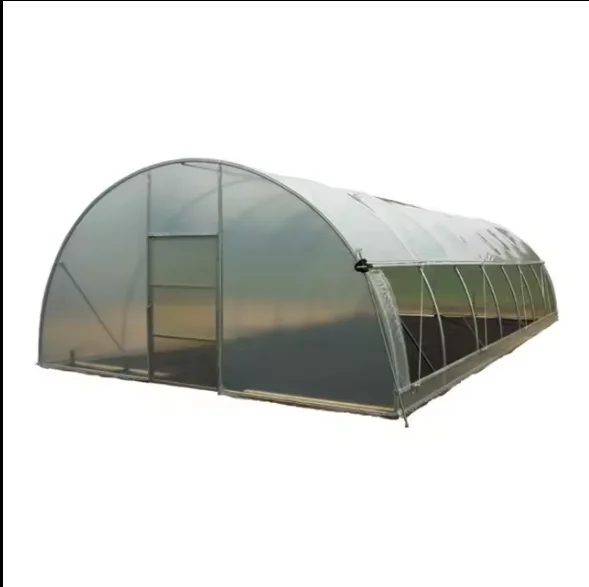 Single Span Agricultural Greenhouse Cheap Durable Hydroponic Growing Galvanized Frame Tunnel Plastic Film Greenhouse