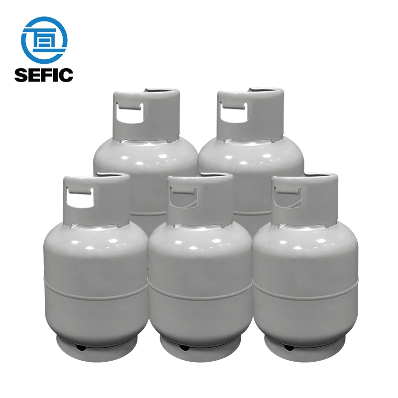 SEFIC High Quality 10kg Lpg Cylinder Low Pressure Gas Storage Cylinder Can Customized Propane Tank