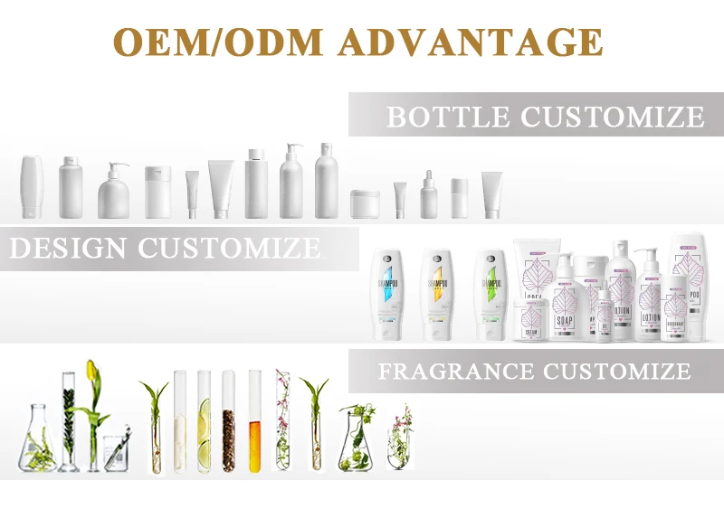 Moroccan Argan Oil Private Label Hydrate Anti Dandruff Hotel Shampoo