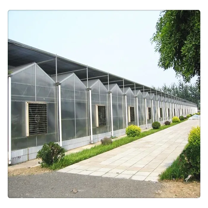 China Factory Commercial Agricultural Vegetable Fruit Flowers Galvanized Steel Frame Polycarbonate Greenhouses