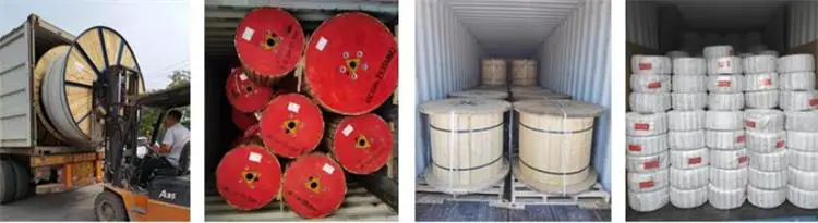 shipping