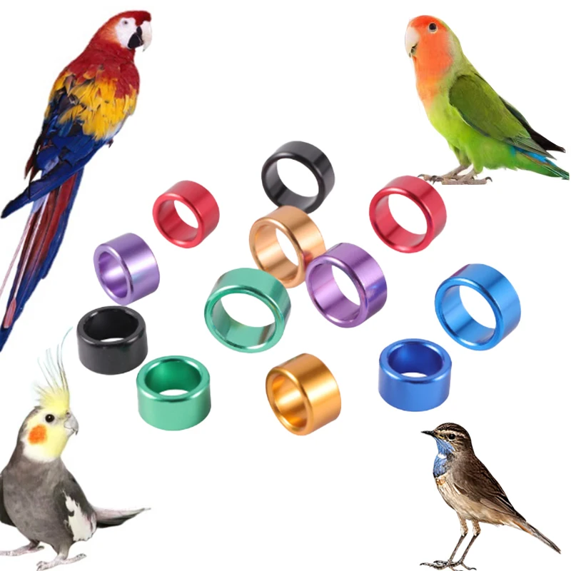 Parrot Bird Straight Tube Aluminum Leg Ring Baby Bird Multicolor Digital Identification Foot ring