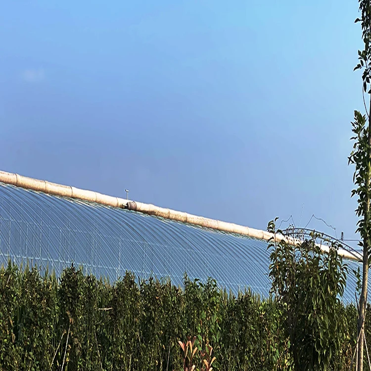 po greenhouse film uv treated polythene film greenhouse blue etfe film greenhouse