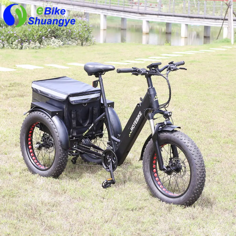 Factory 48V electric tricycle 350W 500W 750W electric cargo bike 20 Inch retro ebike fat tire electric cargo bike