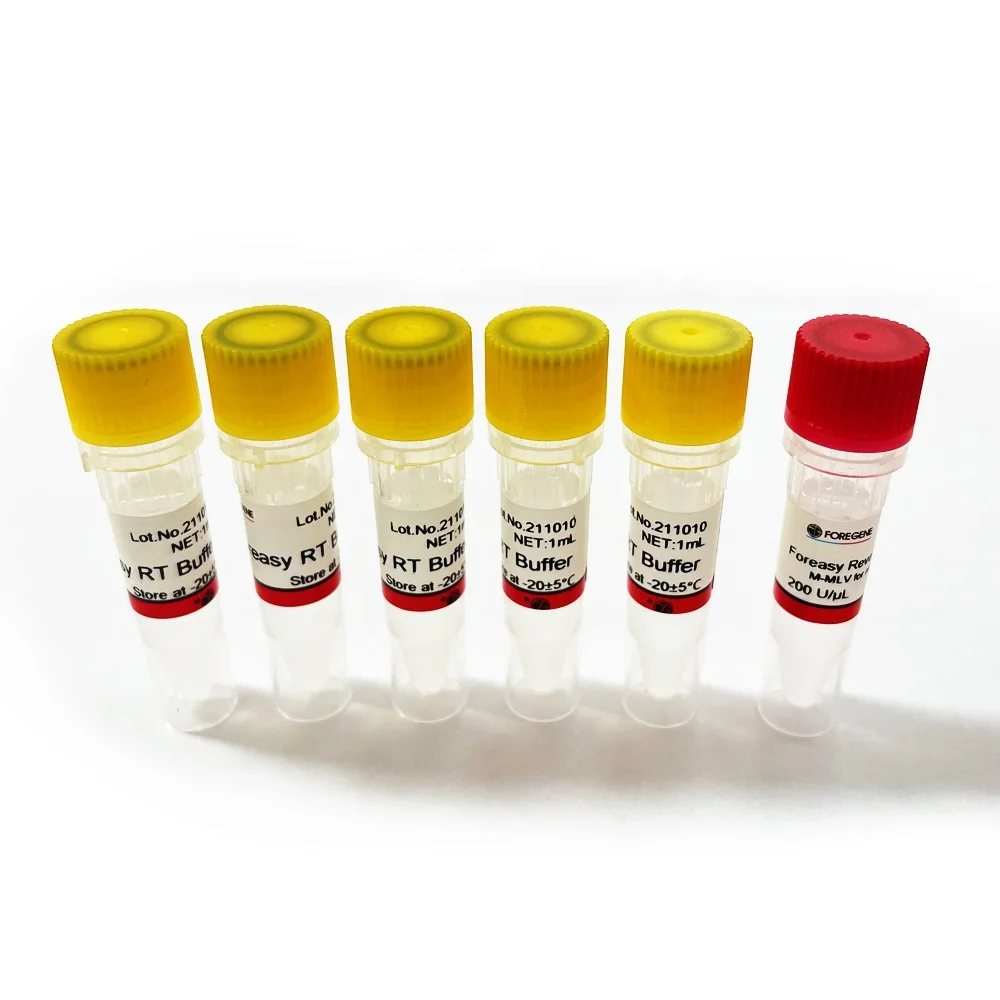 Foreasy Supper Hot Star HS Taq DNA Polymerase for PCR/qPCR 5000 u