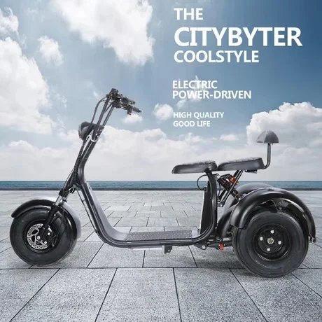 Citycoco Fat Tire Electric Scooter 45km/h Good Waterproof 3 Wheel Electric Scooter With Removable Battery