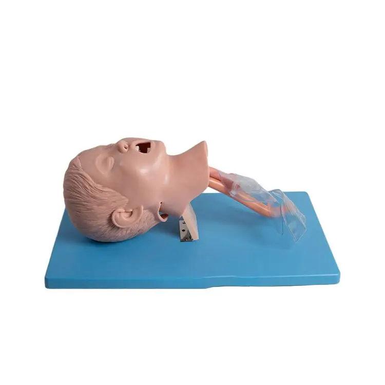 Cheap And High Quality Child Tracheal Intubation Training Simulator Airway Management Nursing Manikin