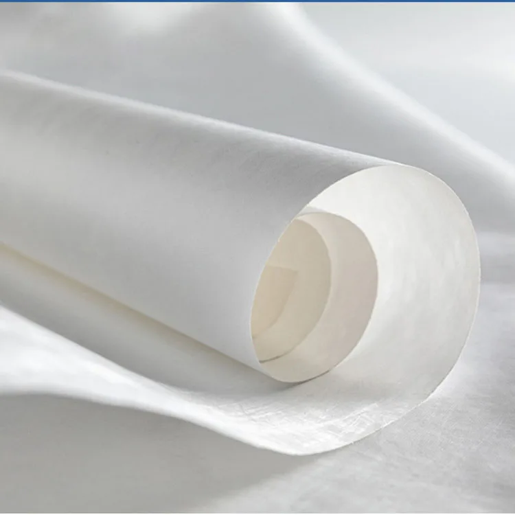Custom Tear Resistance 2fs 1056 1073d Sterilization Heat - sealing Flat Pouch Roll Colour Hypak Tyvek Paper