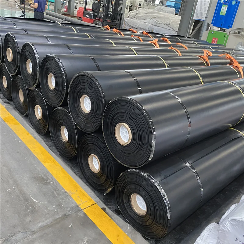 High Quality HDPE Geomembrane Outdoor Fish Farms Swimming Pools Landfills Industrial PE/EVA/LDPE Material-World-Wide Popular