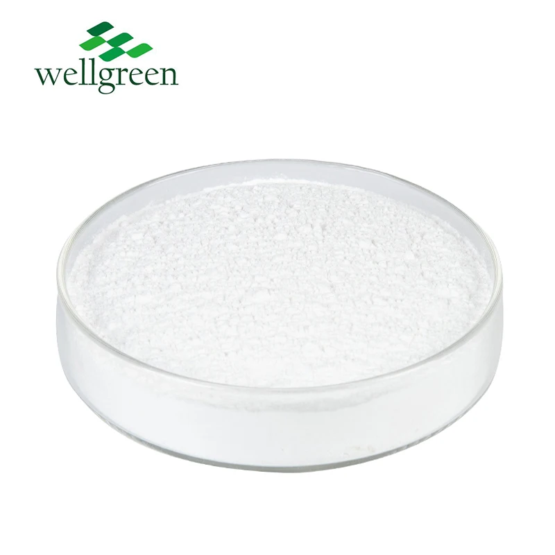 Wellgreen Best Price Glucosamin Sodium Powder Sulfat Salt Suppliers Chondroitine Chondroitin Sulfate