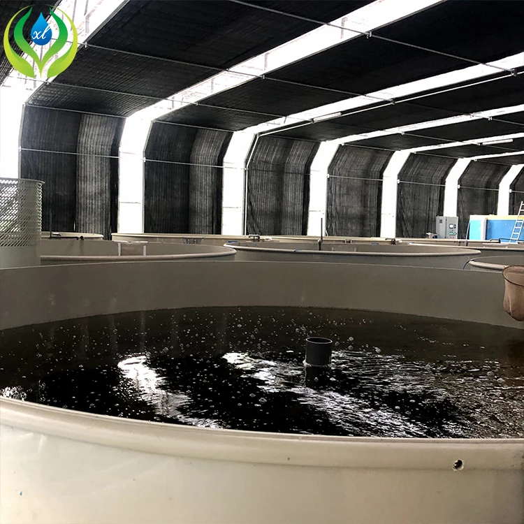 MYXL aquaponics fish farms tanks greenhouse hydroponics aquaponics growing system fish tank for fish and vegetable