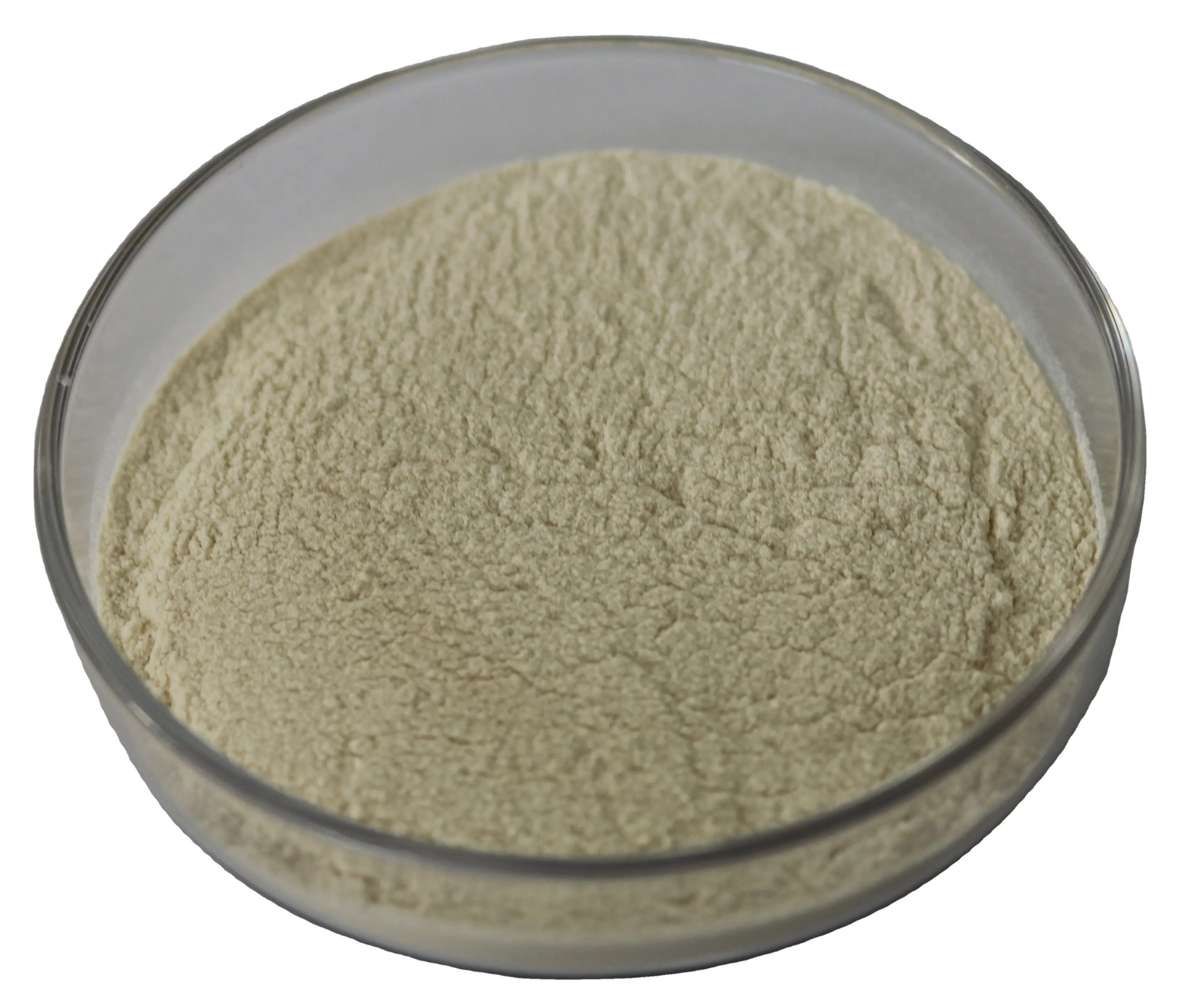 GOOD ALPHA POWDER USED IN FEED, OIL DRILLING & MATERIALS - VIETNAM