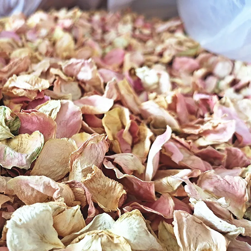 bulk good price beautiful color dried white beige rose petals for bath
