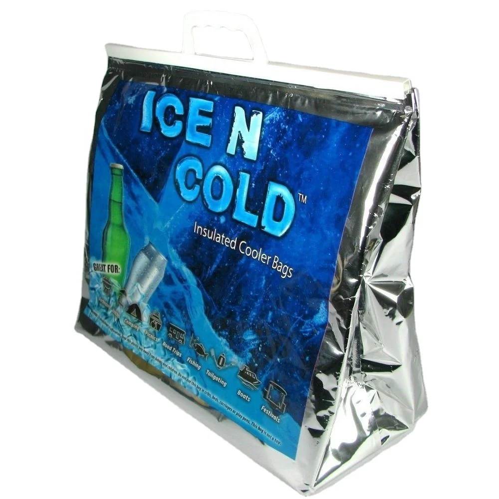 Custom Quality Hot Zero Degrees   Cool Ice Cream Disposable Insulated Cooler Bag