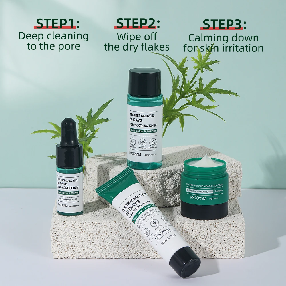 Private label Tea Tree Salicylic Acid Skin Care Set 30 Days Anti-Acne Including Cleanser Toner Serum Cream Skin Care Set