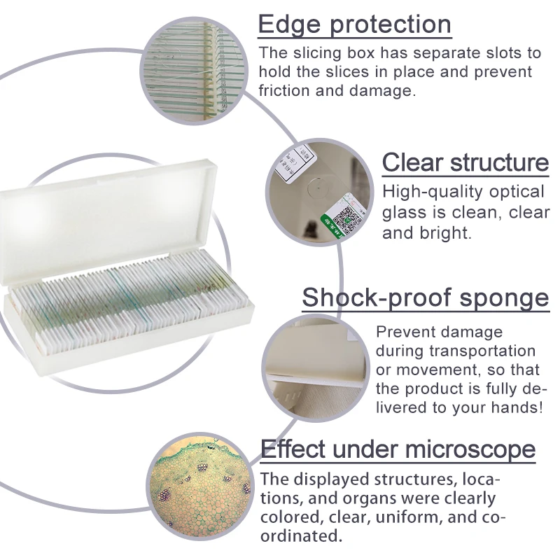 Medical Research Higher Education Biology Teaching Microscope slides Microbiology  mixed slides 50 pieces