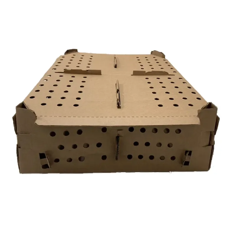 Transport poultry cardboard boxes chicken chick carton cardboard boxes for transport of chicks paper chick transport box