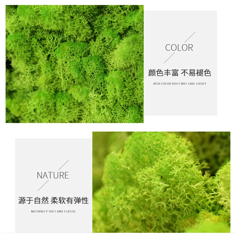 Factory directly supply preserved real natural decorative moss reindeer green moss 500g/box
