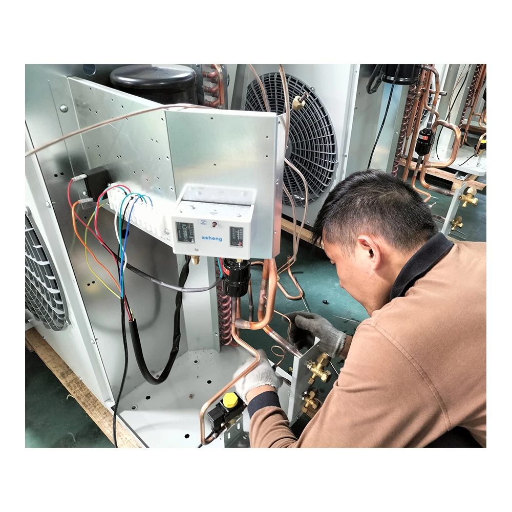 Low Temperature refrigeration unit Outdoor Refrigeration condensing unit small Cold Room Refrigeration Equipment