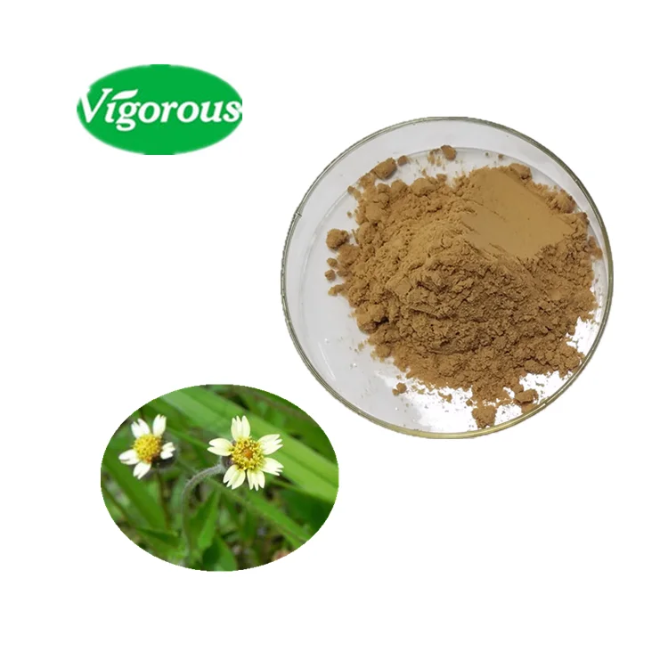 Factory supply health   foods Tridax procumbens extract