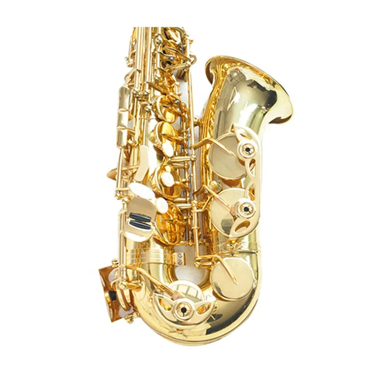 
Gold Lacquer Brass RMAS-710 Alto Instrument Professional Eb Tone Alto Saxophone 
