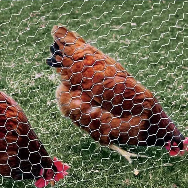 Metal Netting Galvanized Hexagonal twisted wire mesh fence for cattle sheep household breeding chicken duck isolation Farm fence