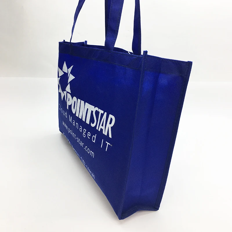 Guangdong Manufacture Shopping Bag Foldable Non Woven Custom Logo Recycle Bag