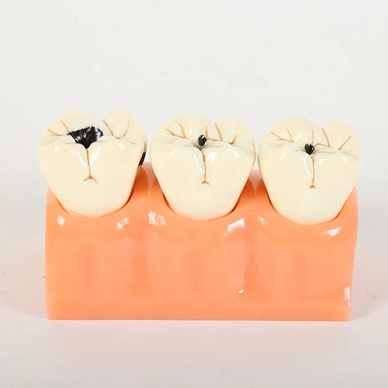 Лидер продаж, модель зубной щетки с зубной щеткой для преподавания