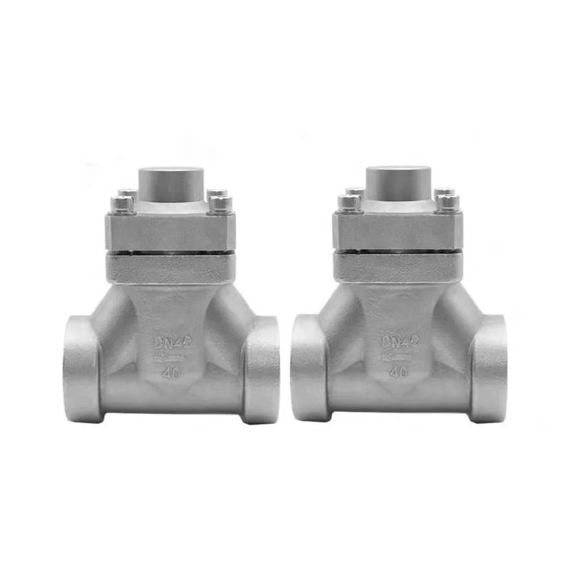 stainless steel socket weld dn50 LPG cryogenic flange check valve for gas vessel