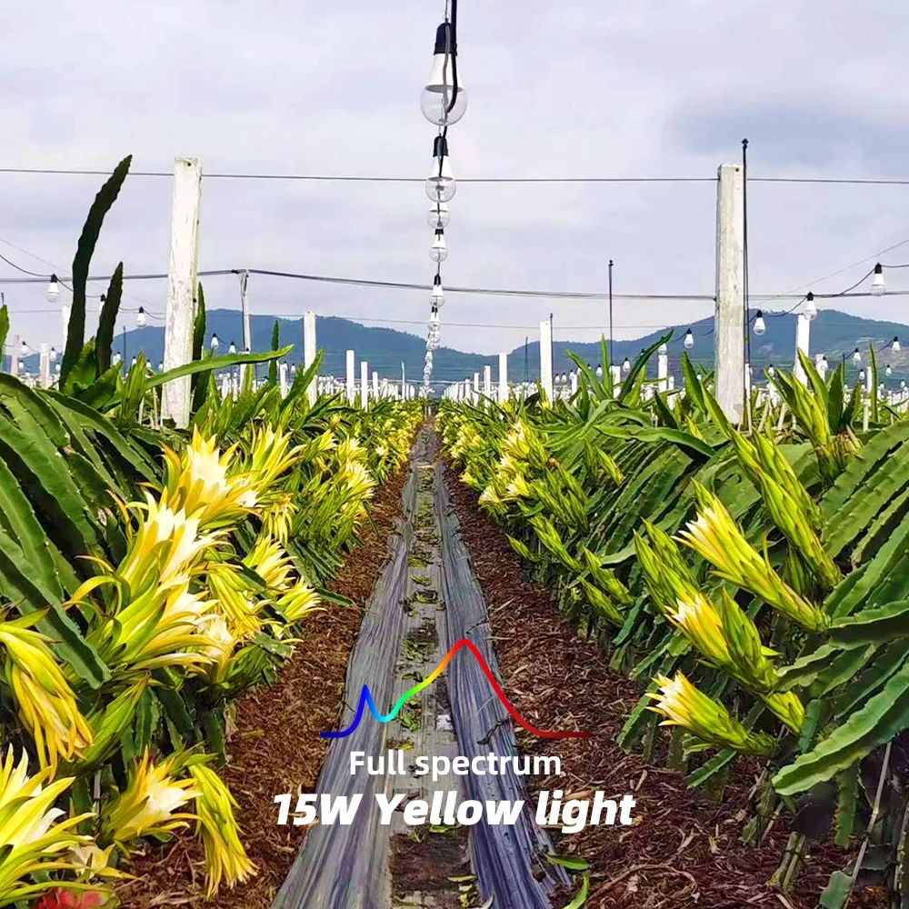 Dragon Fruit 12W Grow Light Full spectrum 15W Plant Bulb Guangdong Zhongshan Factory Wholesale LED plant growth lamp