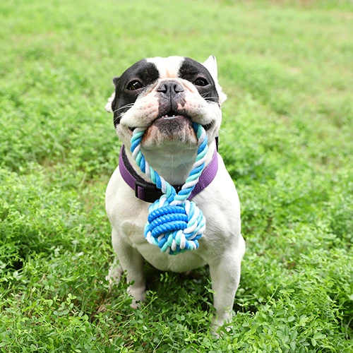 
Wholesale 8*32cm pet chew rope toy,durable pet toys 