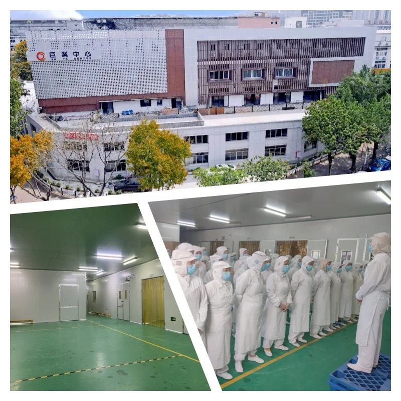 Factory Supply High Quality Pure Natural Burdock Root Dry Burdock Chips